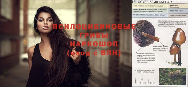 амф Абинск