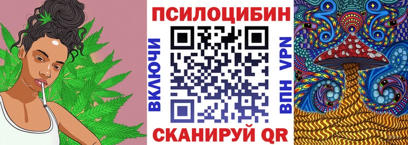 Псилоцибиновые грибы Cubensis  кракен как зайти  Сергач  купить закладку 